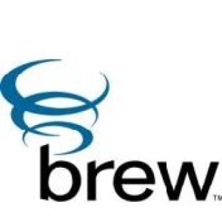 BREW 2008：美国手机游戏市场的 10 个关键统计数据